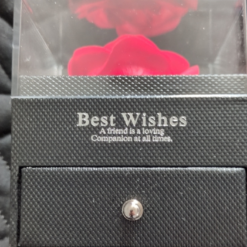 Black Jewelry Box with Red Rose